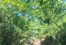 Γιορδαμνής: «Μετά από χρόνια, το ρέμα της Διμυλιάς καθαρίστηκε» – Ευχαριστίες στον Γιώργο Τόππο και τους εργαζόμενους