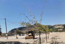 Άμεση ήταν η ανταπόκριση του Δημάρχου Ρόδου σε αίτημα συμπολίτη μας, ο οποίος είχε δημοσιοποιήσει μέσω των μέσων κοινωνικής δικτύωσης βίντεο σχετικά με φερόμενη κακόβουλη ενέργεια σε βάρος του στην περιοχή της παραλίας Τσαμπίκα